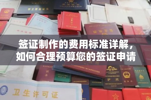东昌签证制作的费用标准详解，如何合理预算您的签证申请成本